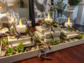 Garden themed candleholder with faux vines and LED lights on a table