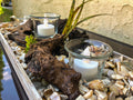 Candleholder with driftwood pieces and shells on a glass table outside
